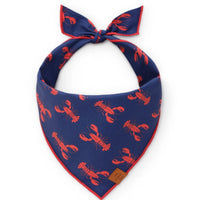 The Foggy Dog Lobster Bandana