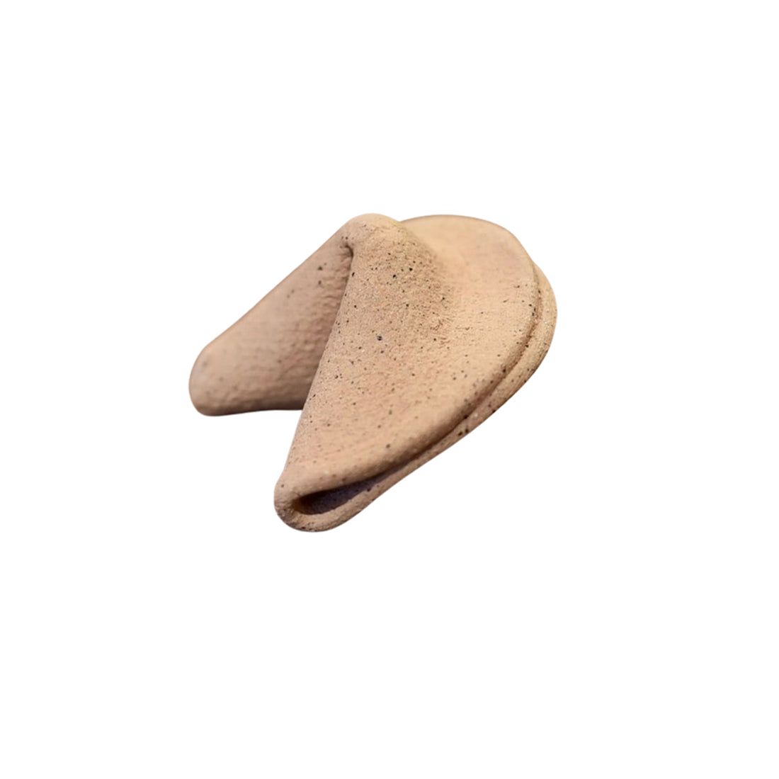 Fortune Cookie