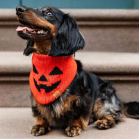 Jack-O’-Lantern Knit Dog Bandana