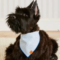 Lake Blue Stripe Dog Bandana – Made in USA
