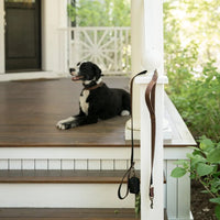 Leather Dog Leash &  Poop Bag Holder