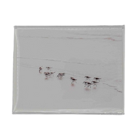Cattie Coyle Photography Greeting Card with photograph on sandpipers on a beach