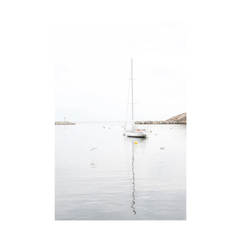 Cattie Coyle Photography Sailboat Greeting Card