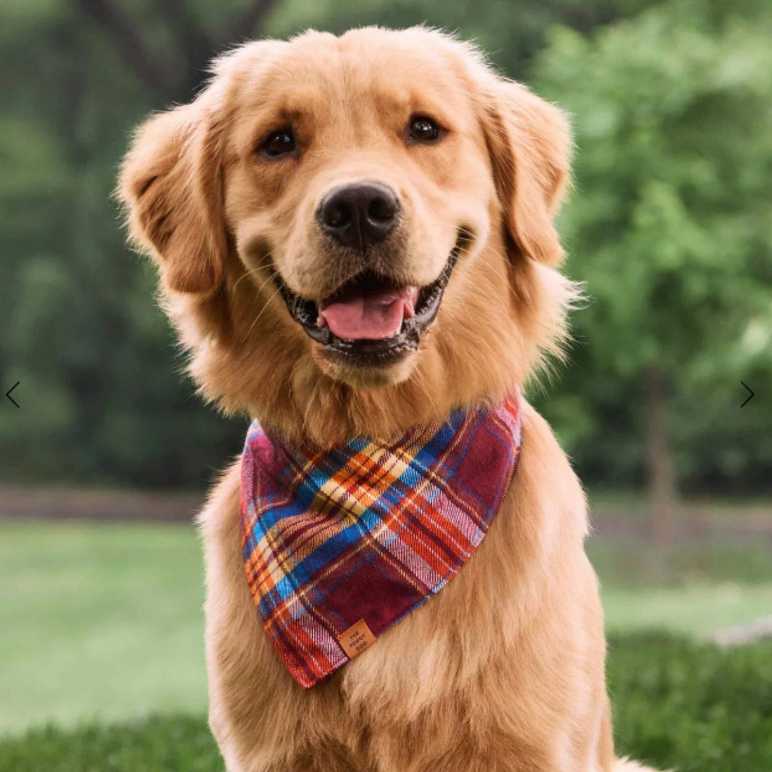 Marlow Plaid Flannel Dog Bandana – Made in USA