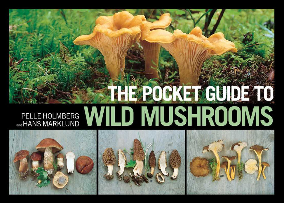 The Pocket Guide to Wild Mushrooms | Mushroom Foraging Field Guide