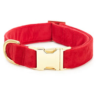 The Foggy Dog Cranberry Velvet Collar