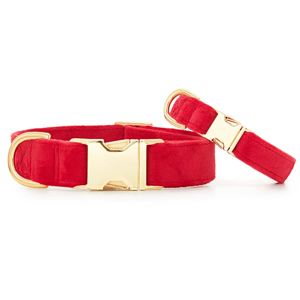 The Foggy Dog Cranberry Velvet Collar